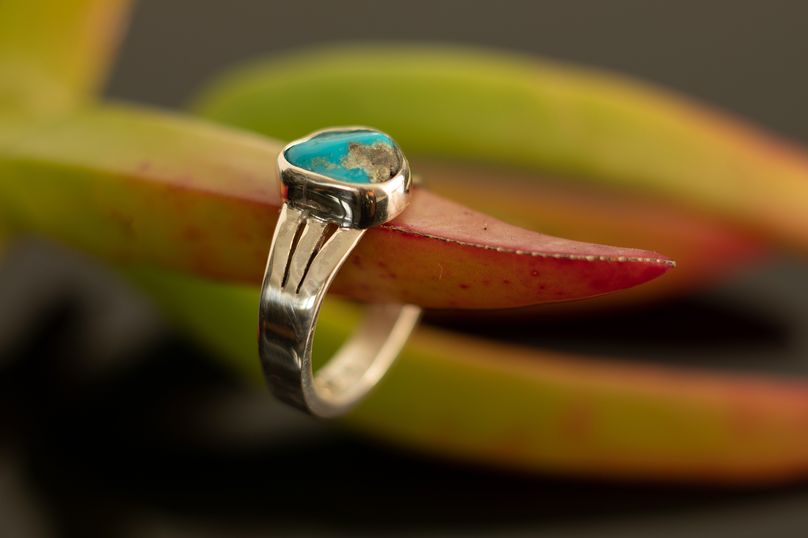 Ring on succulent branch.