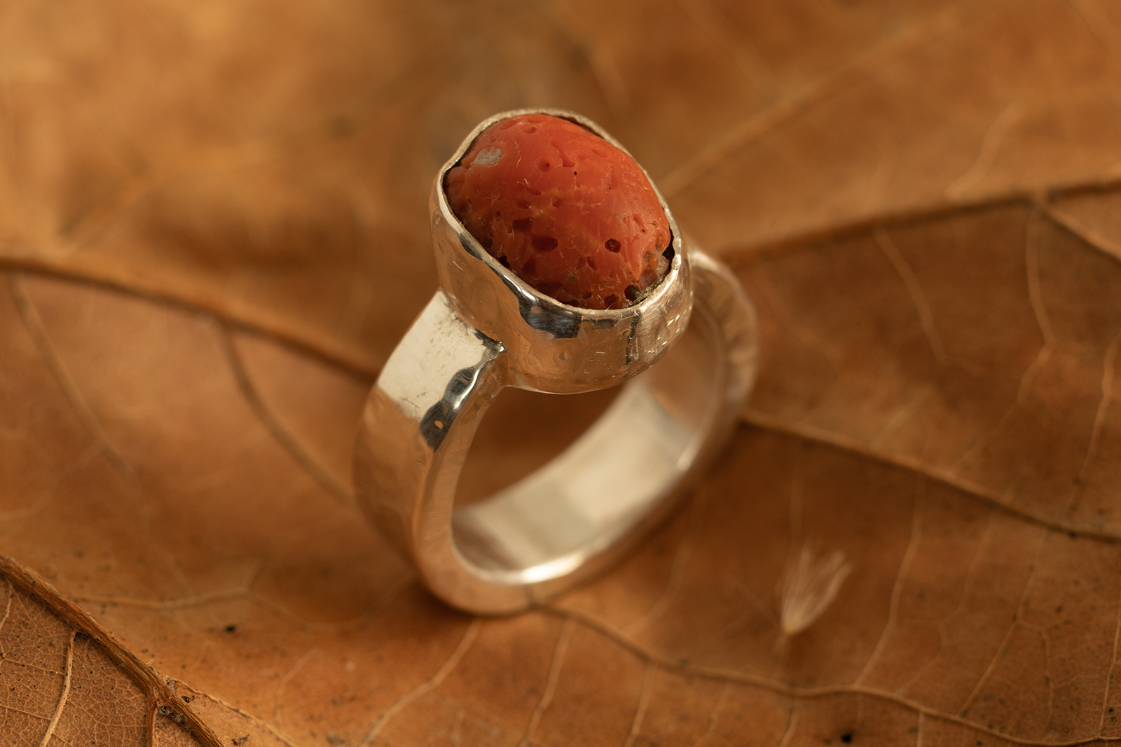 Coral ring on brown leaf.