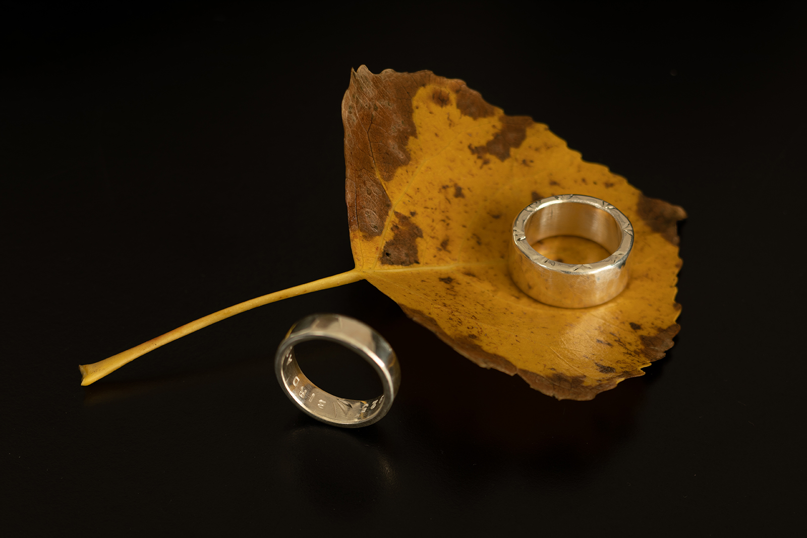 Two rings (set) on black table top and brown leaf.